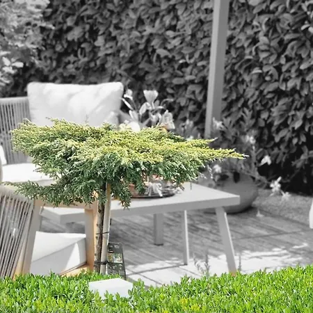 Borgo Sabbionara Aparthotel Monselice