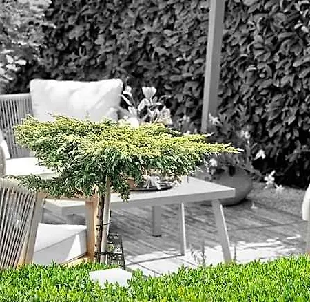 Borgo Sabbionara 3*